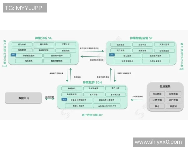 深圳排球队区域防守创新之路探索与实践分析